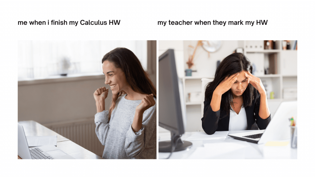 calculus homework help